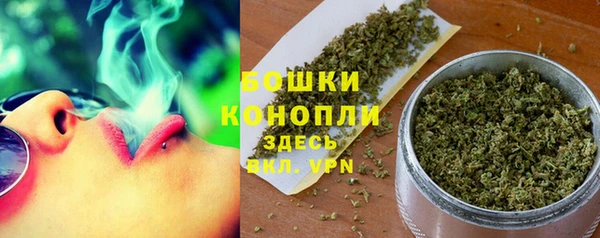 spice Богданович